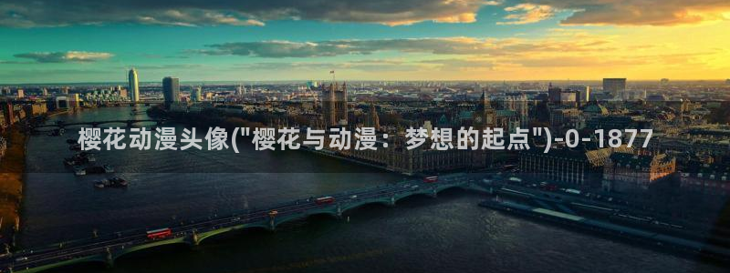 樱花动漫缘之空