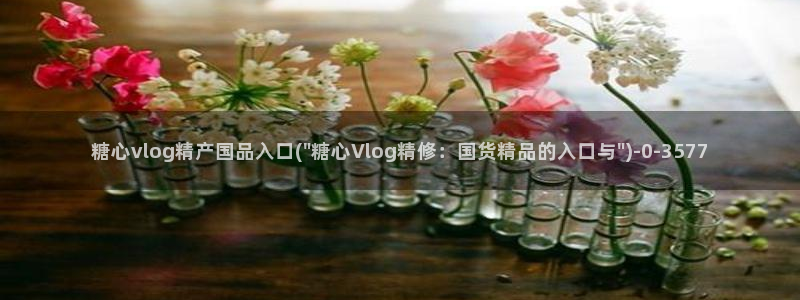 糖心vlog国产在线