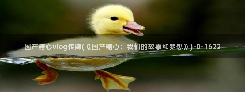 vlog糖心
