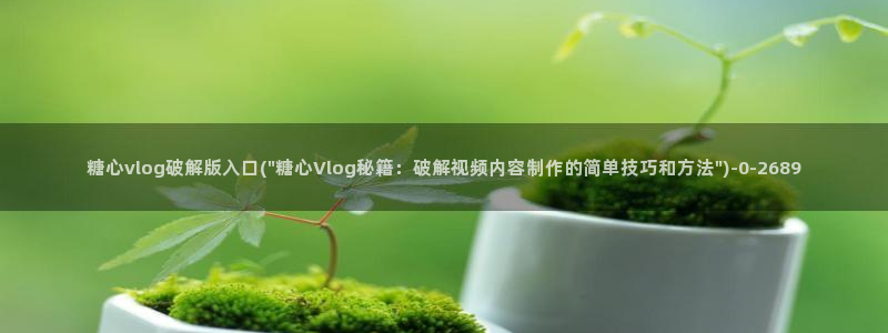 糖心vlog是干嘛的