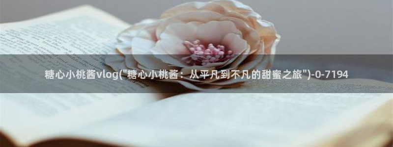 糖心出品vlog传媒