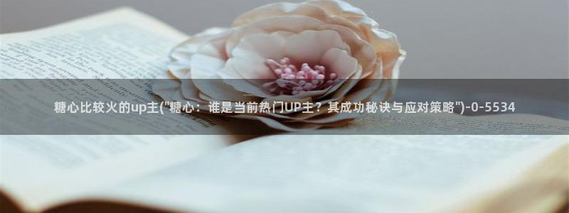 91制片厂糖心vlog