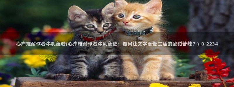 糖心vlog网页免费
